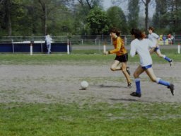 0DIA 1988 RAVA B1